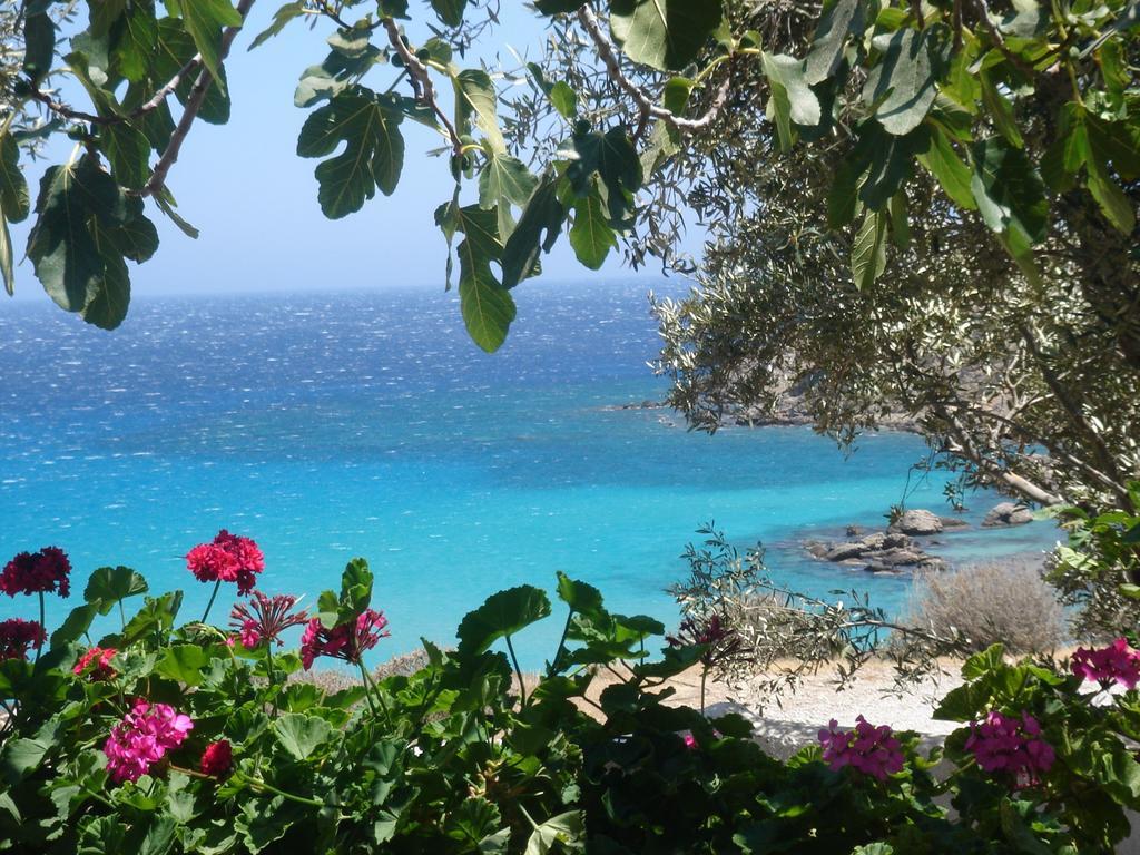 Hotel Poseidon Blue Afiartis Exterior foto