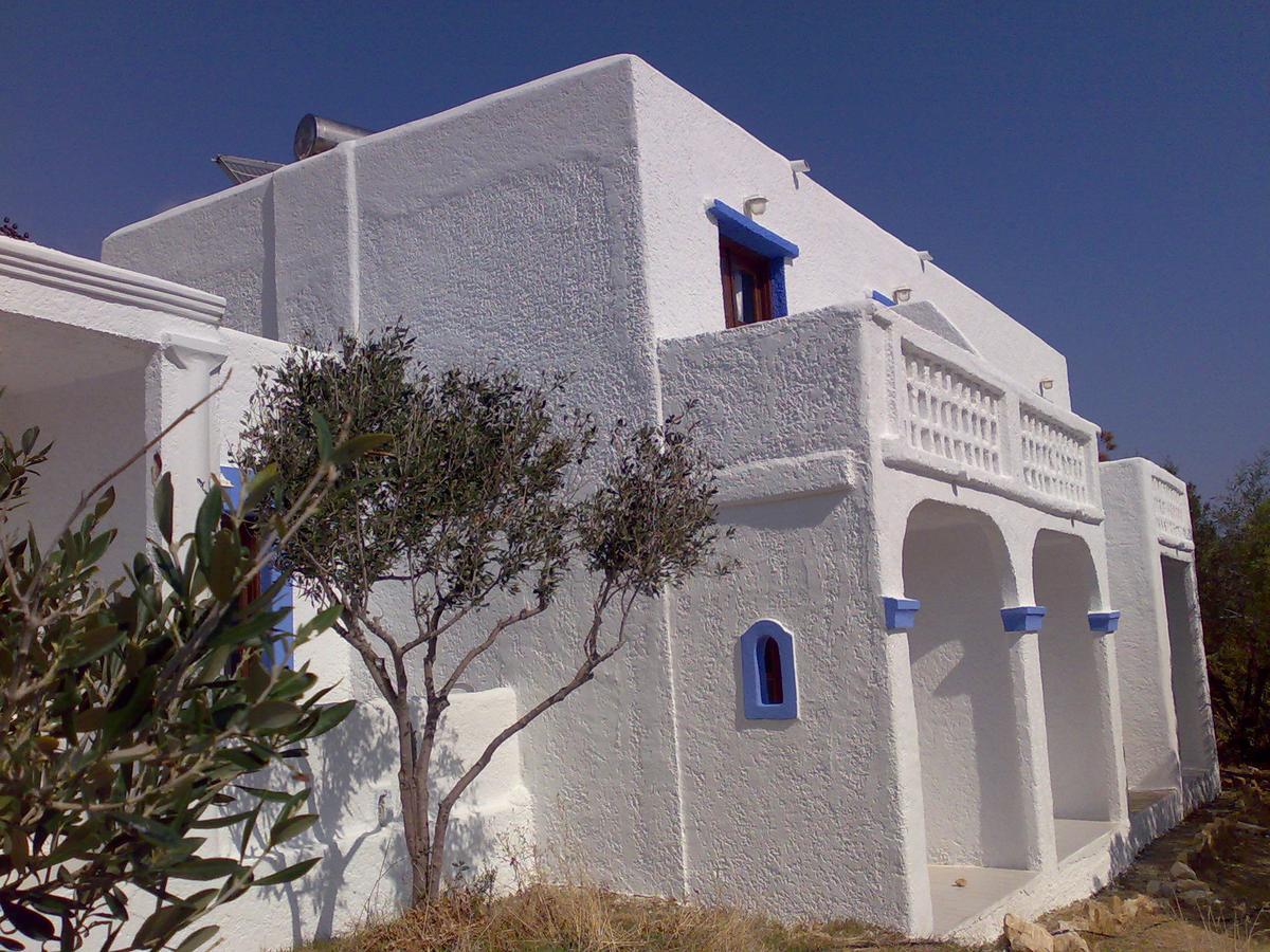 Hotel Poseidon Blue Afiartis Exterior foto